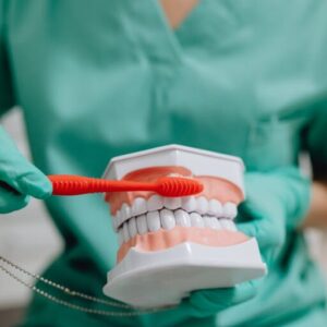 Selective Focus Photo of a Dentist Demonstrating How to Brush Teeth